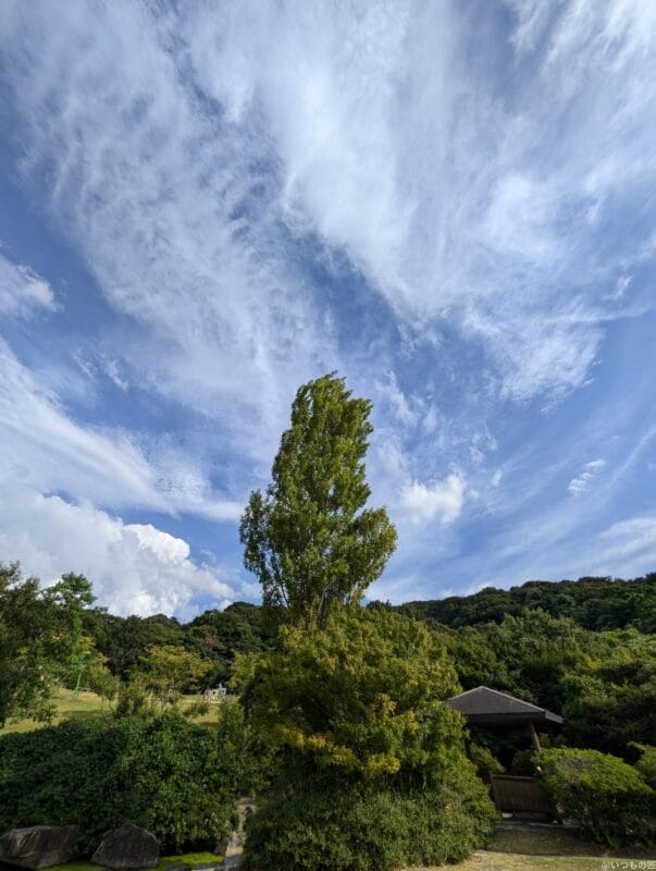 google pixel 9 で撮影した風景写真 | スマホの口コミ・評判・悪口.jp Google Pixel 9 カメラ Google Pixel 9 で撮影した風景写真