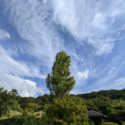 google pixel 9 で撮影した風景写真 | スマホの口コミ・評判・悪口.jp Google Pixel 9 カメラ Google Pixel 9 で撮影した風景写真